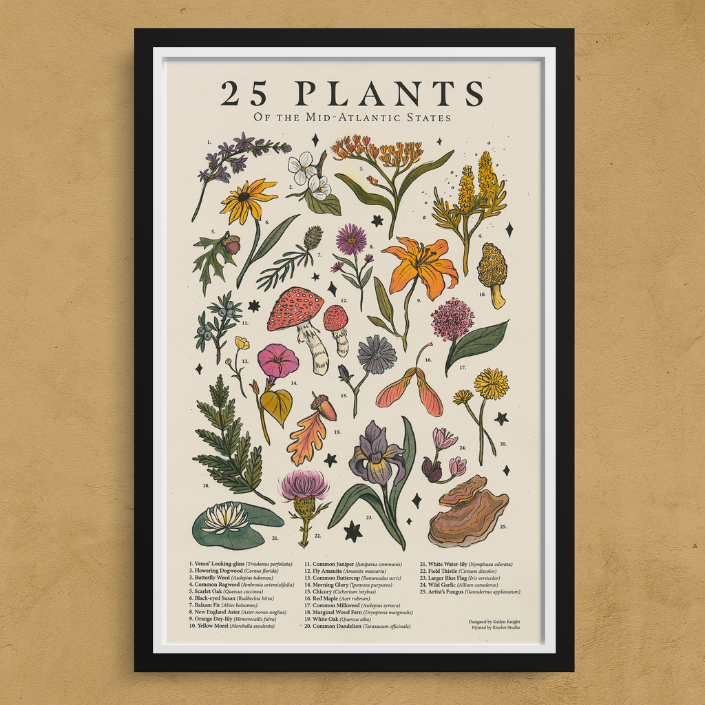 Mid-Atlantic Flora and Fauna Print Series by Kailyn Knight