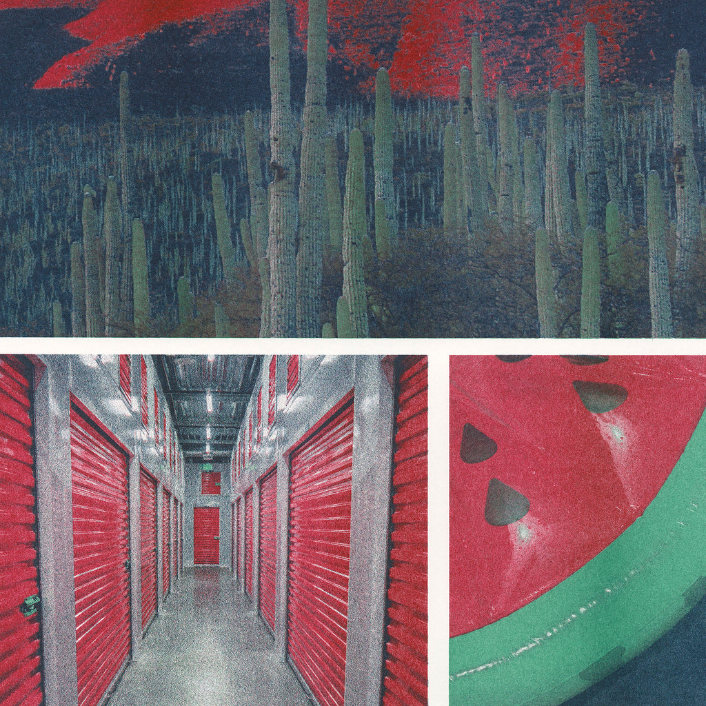 Photographs of a cactus landscape, storage unit, and inflatable watermelon Risograph printed in steel, cranberry, and agave ink