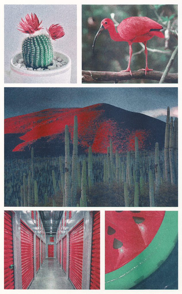 Various photographs including a cactus, bird, desert landscape, storage unit, and inflatable watermelon Riso printed in agave, steel, cranberry Riso ink