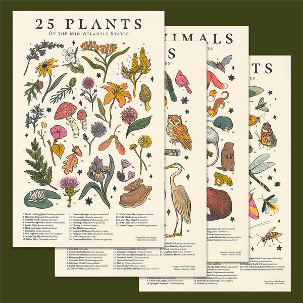 Mid-Atlantic Flora and Fauna Print Series by Kailyn Knight