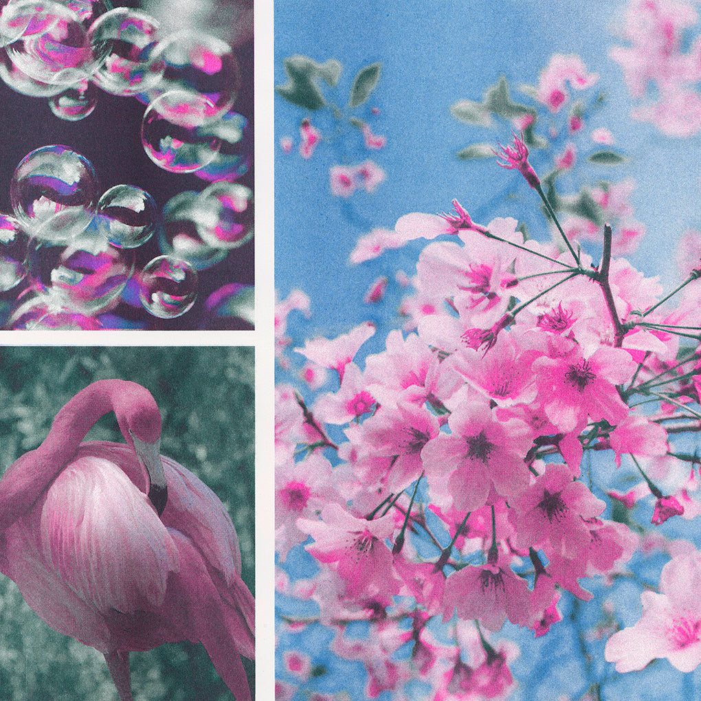 FREE Hunter Green, Cornflower, Fluorescent Pink Color Profile