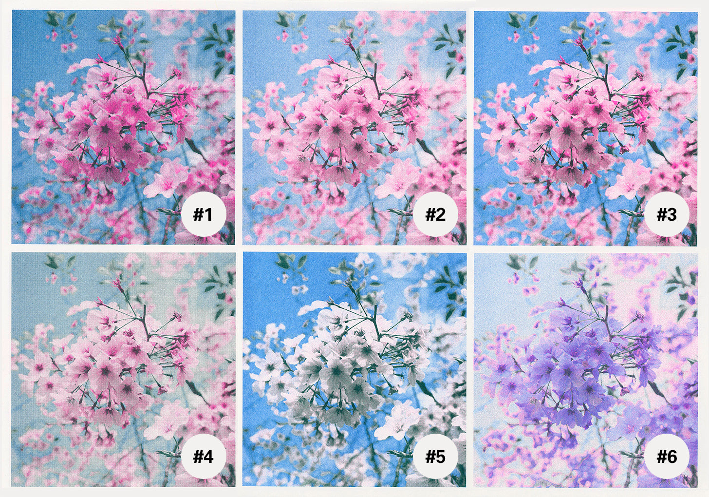 FREE Hunter Green, Cornflower, Fluorescent Pink Color Profile