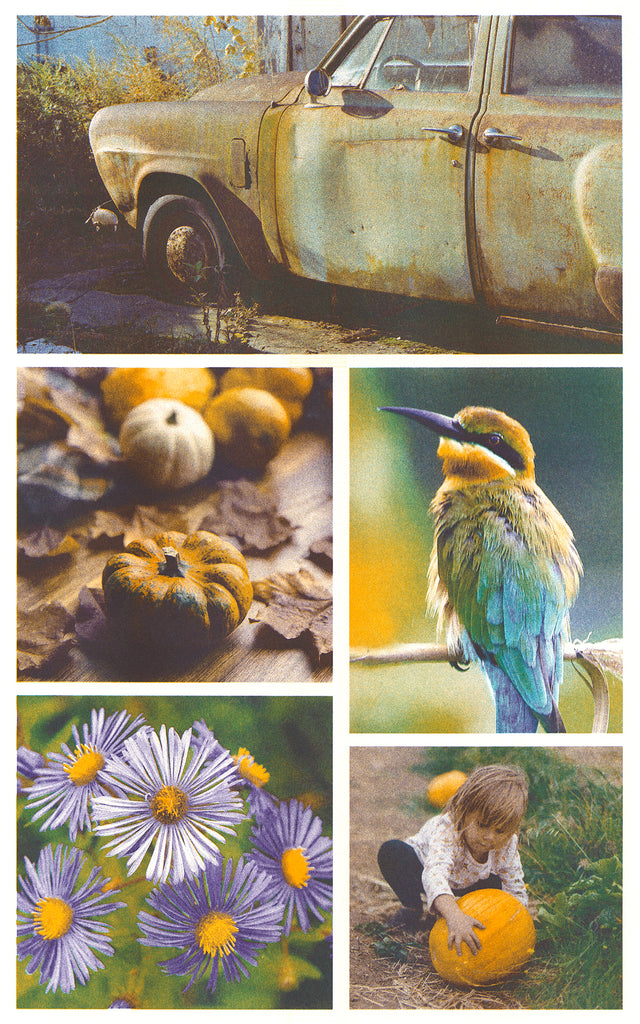 Printed image of 5 different photographs Riso printed with the light teal, purple, and sunflower ink profile